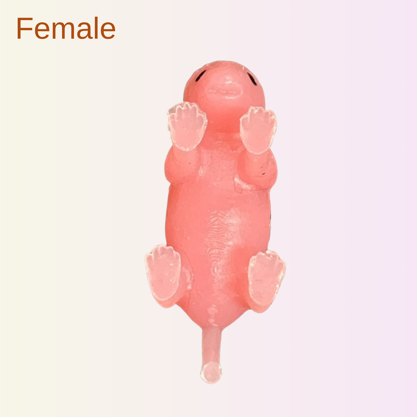 Teenie Mouse - Neonatal Mouse Simulators (Available for Pre-Order)