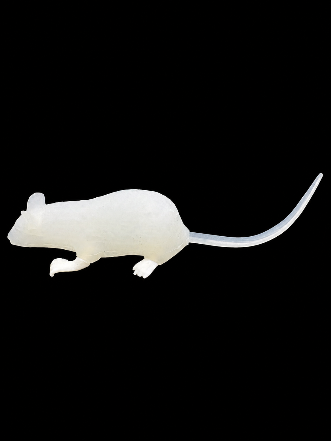 Humaneway LaboPal Full Body Mouse Simulator - Transparent Skin Type