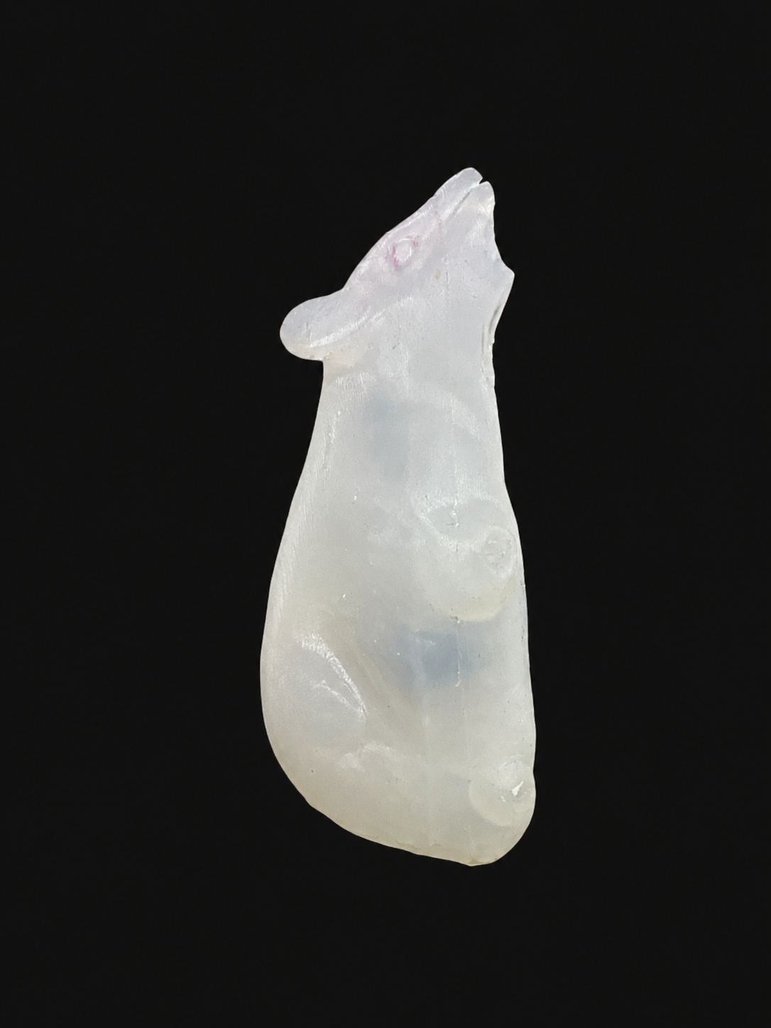 Humaneway LaboPal Full Body Mouse Simulator - Transparent Skin Type