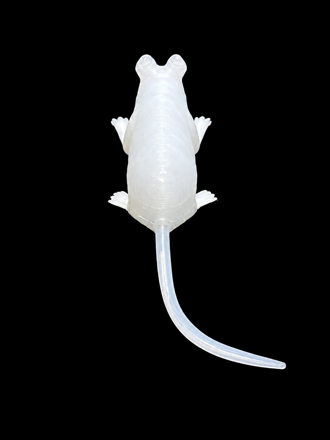 Humaneway LaboPal Full Body Mouse Simulator - Transparent Skin Type