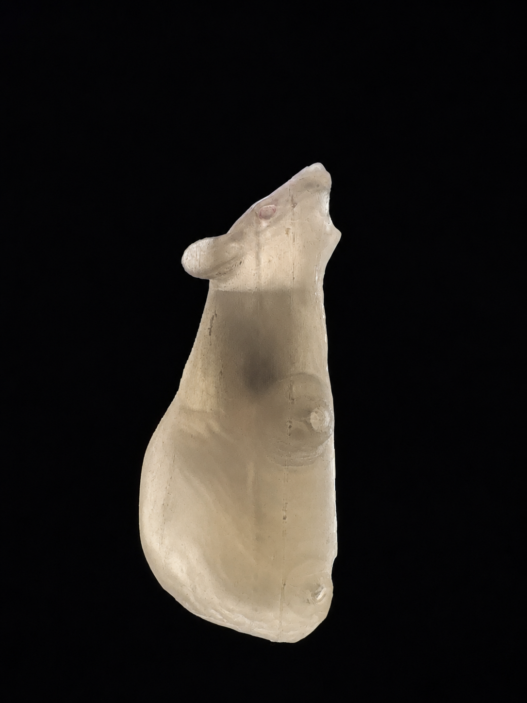 Humaneway LaboPal Full Body Mouse Simulator - Transparent Skin Type