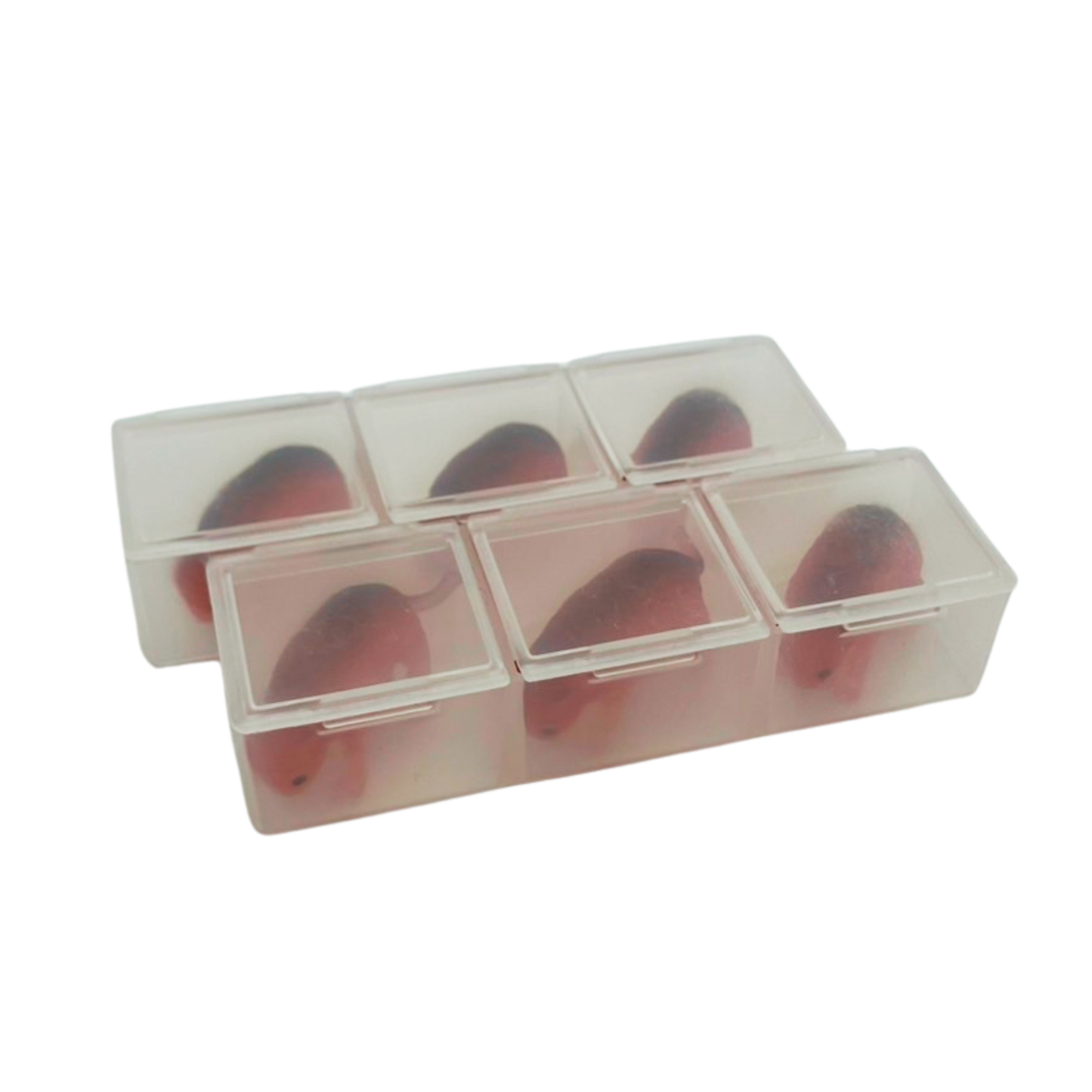 Teenie Mouse - Neonatal Mouse Simulators (Available for Pre-Order)